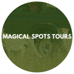 Magical Spots Tours
