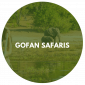 Gofan Safaris