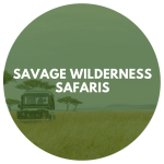 Savage Wilderness Safaris