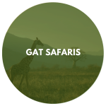 GAT Safaris