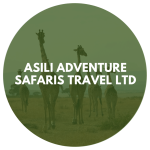 Asili Adventure Safaris Travel Ltd