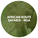 African Route Safaris-Msa