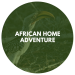 African Home Adventure