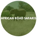 African Road Safaris