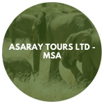 Asaray Tours Ltd-Msa