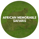 African Memorable Safaris