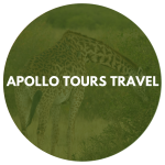 Apollo Tours Travel