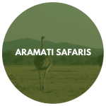 Aramati Safaris