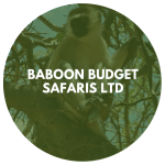 Baboon Budget Safaris Ltd