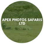 Apex Photos Safaris Ltd