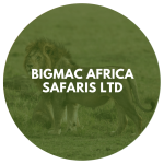 Bigmac Africa Safaris Ltd