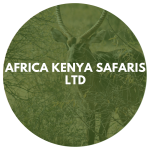 Africa Kenya Safaris Ltd