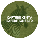 Capture Kenya Expeditions Ltd