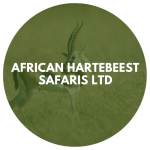 African Hartebeest Safaris Ltd