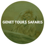 Genet Tours Safaris