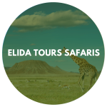 Elida Tours & Safaris Ltd