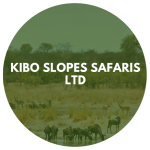 Kibo Slopes Safaris Ltd