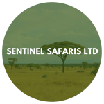 Sentinel Safaris Ltd