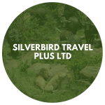 Silverbird Travel Plus Ltd