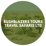 BushBlazers Tours Travel Safaris Ltd