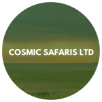 Cosmic Safaris Ltd