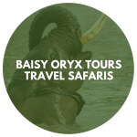 Baisy Oryx Tours Travel Safaris