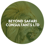 Beyond Safari Consultants Ltd