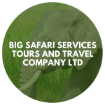 Big Safari Services Ltd