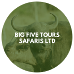 Big Five Tours Safaris Ltd