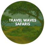 Travel Waves Safaris