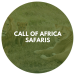 Call of Africa Safaris