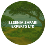 Essenia Safari Experts Ltd