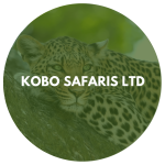 Kobo Safaris Ltd