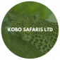 Kobo Safaris Ltd