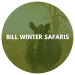 Bill Winter Safaris