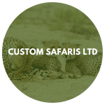 Custom Safaris Ltd