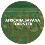 Africana Savana Tours Ltd
