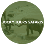 Jocky Tours Safaris