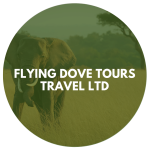 Flying Dove Tours Travel Ltd