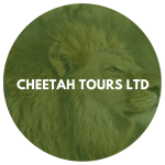 Cheetah Tours Ltd