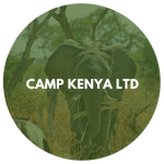 Camp Kenya Ltd