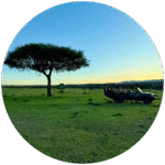 Custom Safaris Ltd