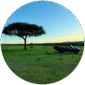 Custom Safaris Ltd