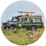 Sunworld Safaris Ltd